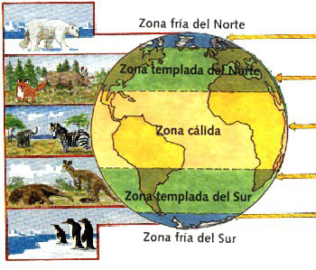 ZONAS CLIMATICAS EN MEXICO Y SUS CARACTERISTICAS Clima015-copia
